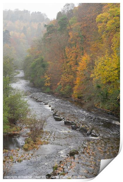 Staward Gorge in autumn Print by Heather Athey