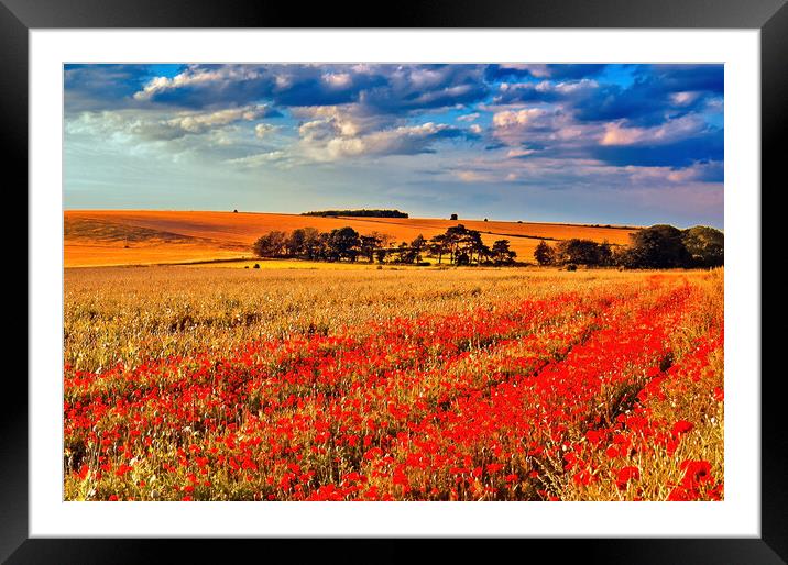Poppies near Ipsden in Oxfordshire  Framed Mounted Print by Joyce Storey