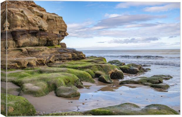 Westcliff Bay, Whitby Canvas Print by Chris Yaxley
