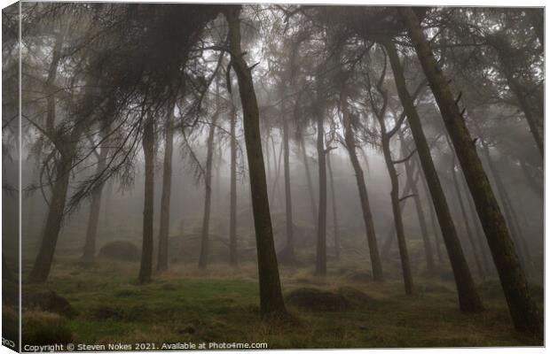 Enchanting Misty Roaches Forest Canvas Print by Steven Nokes