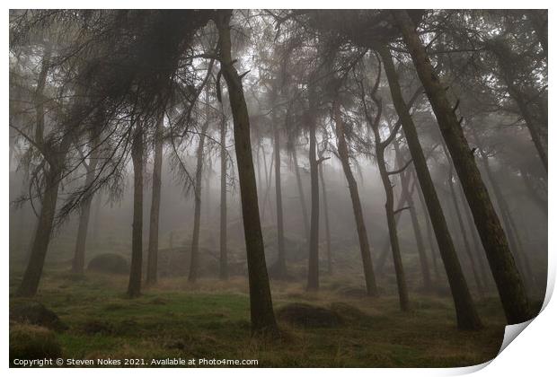 Enchanting Misty Roaches Forest Print by Steven Nokes