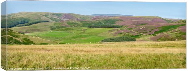 Panorama of the hills above the Capehope valley in the Scottish Borders Canvas Print by Dave Collins