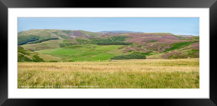 Panorama of the hills above the Capehope valley in the Scottish Borders Framed Mounted Print by Dave Collins
