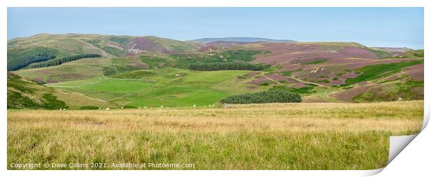 Panorama of the hills above the Capehope valley in the Scottish Borders Print by Dave Collins
