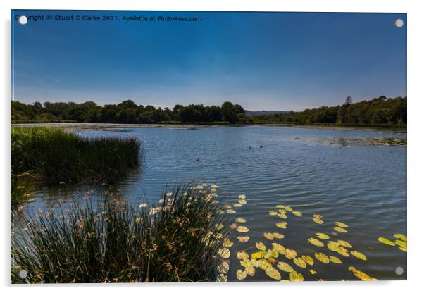Burton Mill Pond Acrylic by Stuart C Clarke