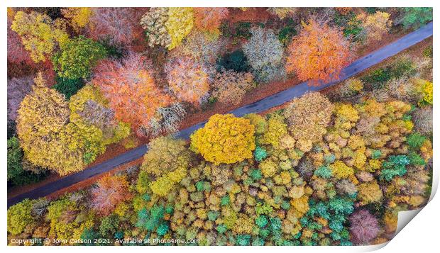 A Kaleidoscope of Autumn Colours Print by John Carson