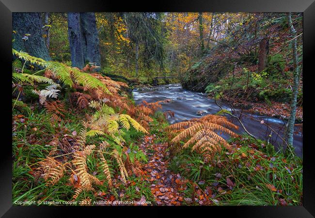 autumn colours Framed Print by stephen cooper
