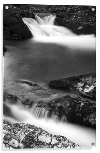 The Soteska Vintgar gorge in black and white Acrylic by Ian Middleton