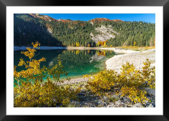 Crno jezero, Durmitor National park Framed Mounted Print by peter schickert
