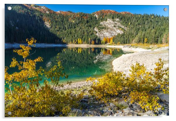 Crno jezero, Durmitor National park Acrylic by peter schickert