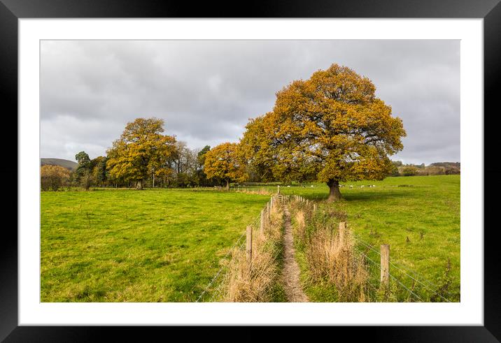 Autumn colours around Hathersage Framed Mounted Print by Jason Wells