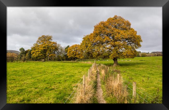 Autumn colours around Hathersage Framed Print by Jason Wells