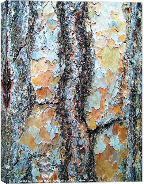 Tree Bark, Wisley Gardens, Surrey. Canvas Print by Laura Jarvis