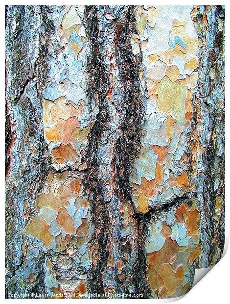 Tree Bark, Wisley Gardens, Surrey. Print by Laura Jarvis