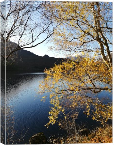 Autumn Colours at Loch Clair Canvas Print by Jennifer Henderson