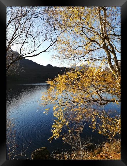 Autumn Colours at Loch Clair Framed Print by Jennifer Henderson