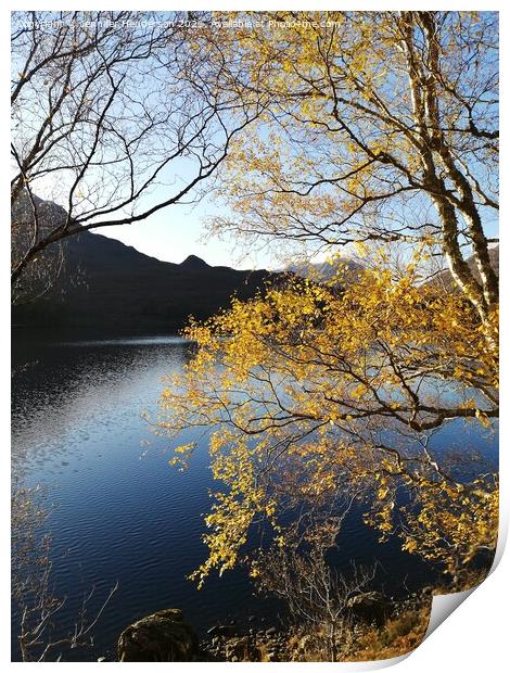 Autumn Colours at Loch Clair Print by Jennifer Henderson