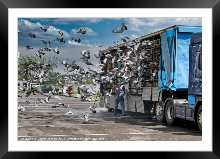 The Great Pigeon Race Home Framed Mounted Print by Roger Mechan
