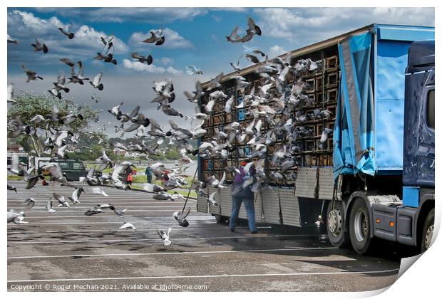 The Great Pigeon Race Home Print by Roger Mechan
