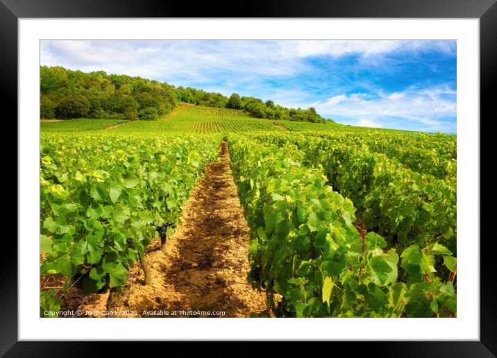 Burgundy vineyards - Orton glow Edition  Framed Mounted Print by Jordi Carrio