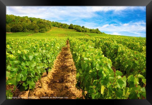Burgundy vineyards - Orton glow Edition  Framed Print by Jordi Carrio