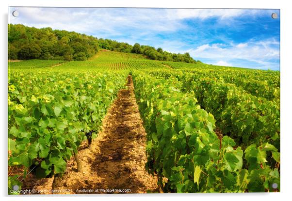 Burgundy vineyards - Orton glow Edition  Acrylic by Jordi Carrio
