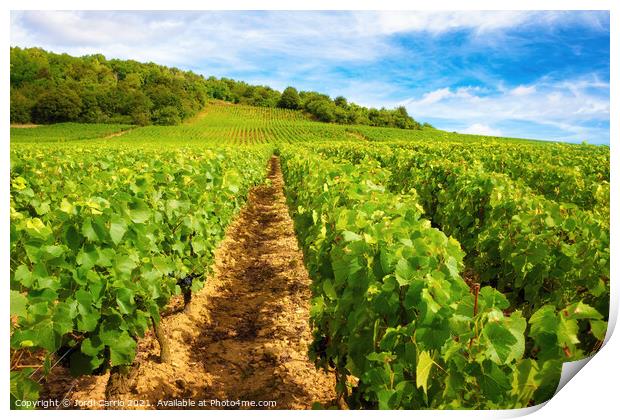 Burgundy vineyards - Orton glow Edition  Print by Jordi Carrio