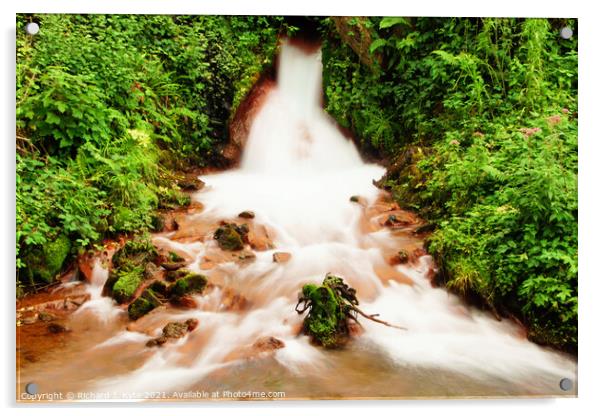 Waterfall, Norchard, Forest of Dean, Gloucestershire Acrylic by Richard J. Kyte