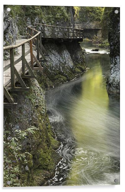 The Soteska Vintgar gorge Acrylic by Ian Middleton