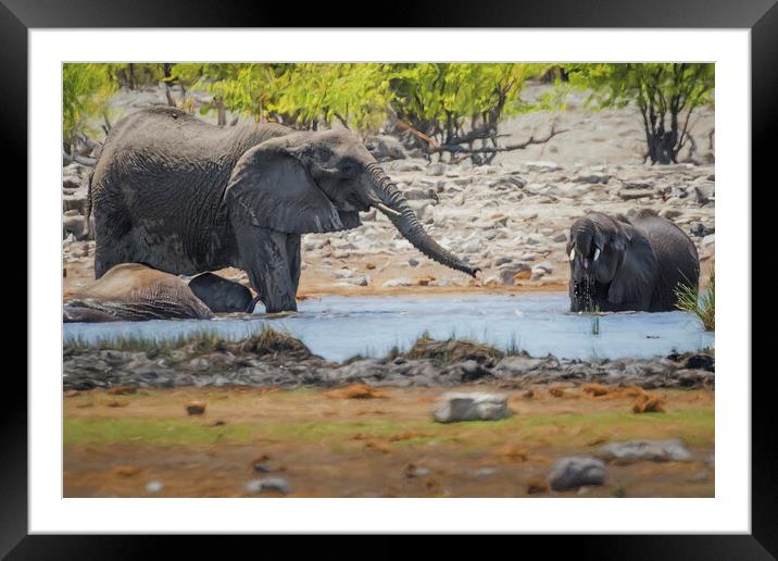 Elephants Tussling at Rietfontein Waterhole Framed Mounted Print by Belinda Greb