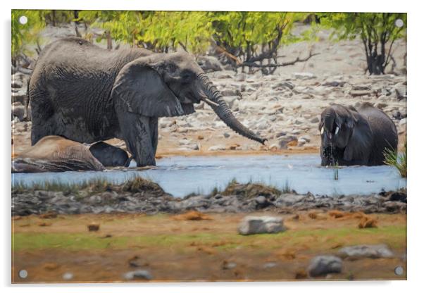 Elephants Tussling at Rietfontein Waterhole Acrylic by Belinda Greb
