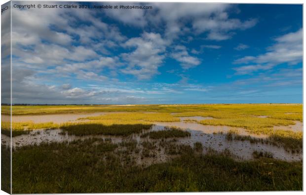 Pagham Harbour Canvas Print by Stuart C Clarke