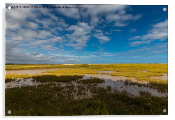 Pagham Harbour Acrylic by Stuart C Clarke