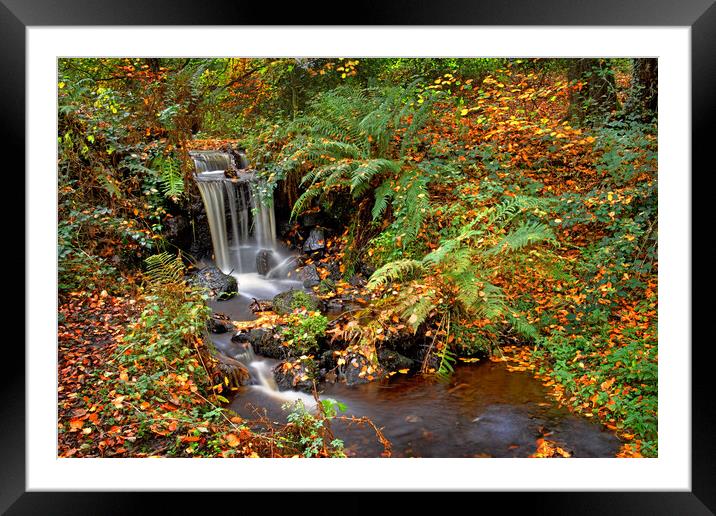 Upper Coppice Wheel in Autumn   Framed Mounted Print by Darren Galpin