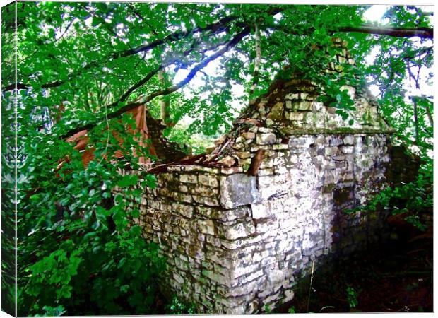 Ruined cottage in the woods Canvas Print by Stephanie Moore