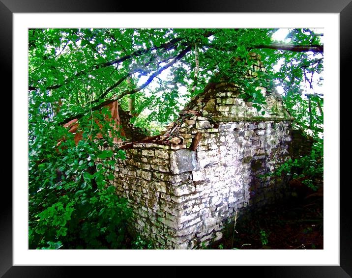 Ruined cottage in the woods Framed Mounted Print by Stephanie Moore
