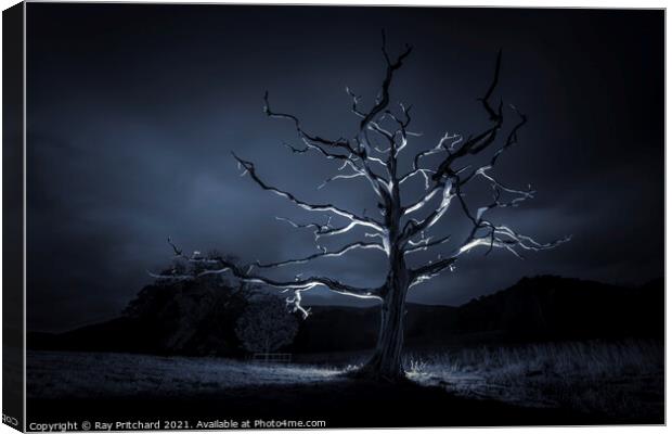 Dead Tree Canvas Print by Ray Pritchard
