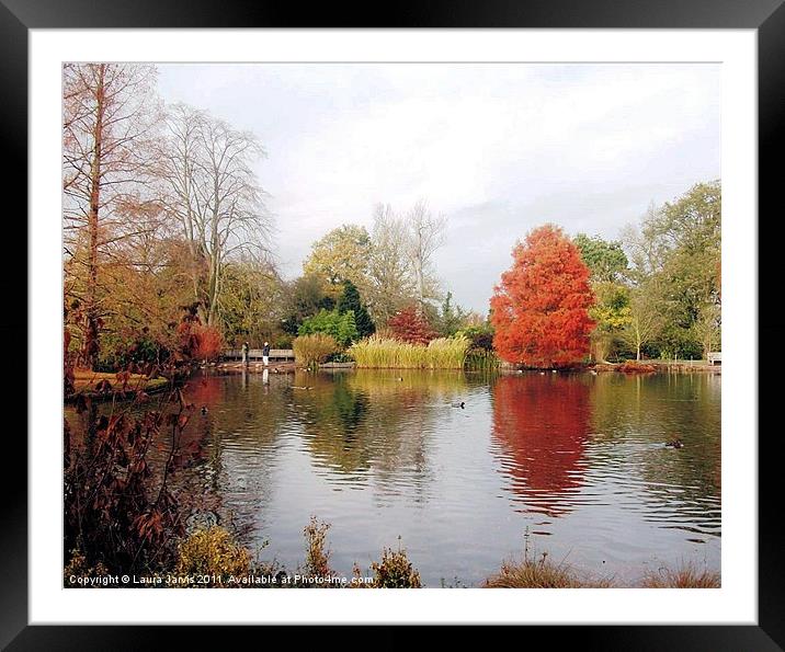 Autumn at Wisley Gardens. Framed Mounted Print by Laura Jarvis