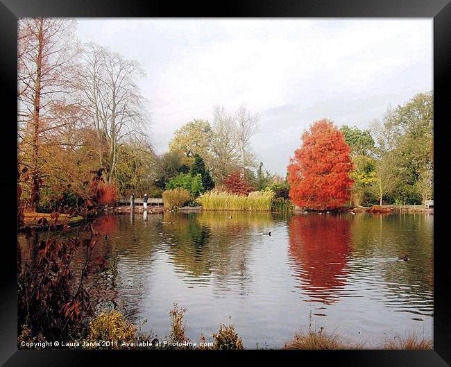Autumn at Wisley Gardens. Framed Print by Laura Jarvis