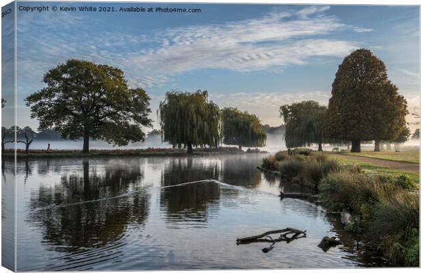 Bushy Park misty pond in November Canvas Print by Kevin White