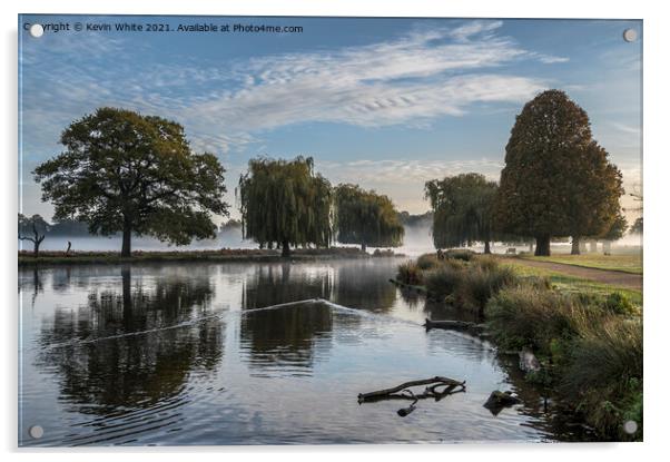 Bushy Park misty pond in November Acrylic by Kevin White