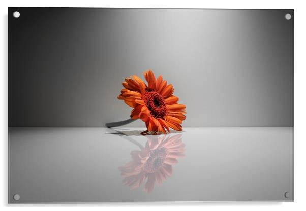 The Flower  Acrylic by Rudi Darlington