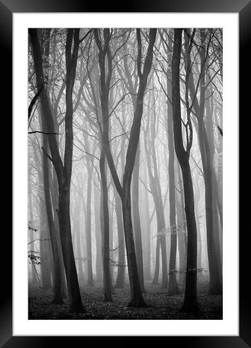 The Y trees Framed Mounted Print by Simon Johnson