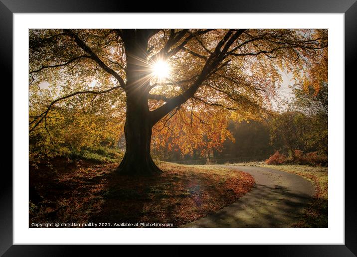 Sunburst in autumn Scotland Framed Mounted Print by christian maltby