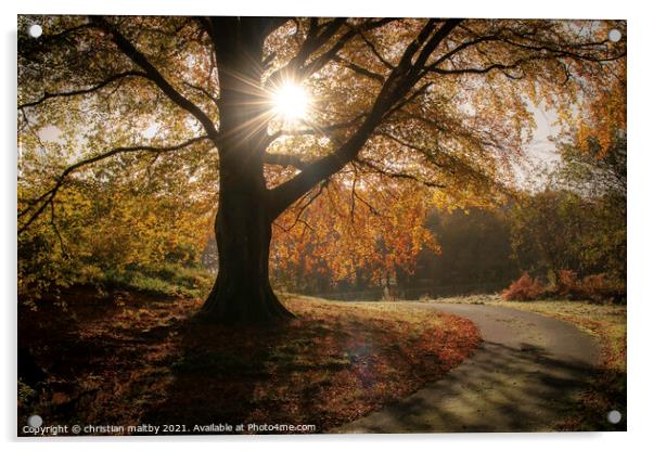 Sunburst in autumn Scotland Acrylic by christian maltby