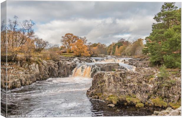 Autumn Brightness at Low Force Waterfall, Teesdale Canvas Print by Richard Laidler