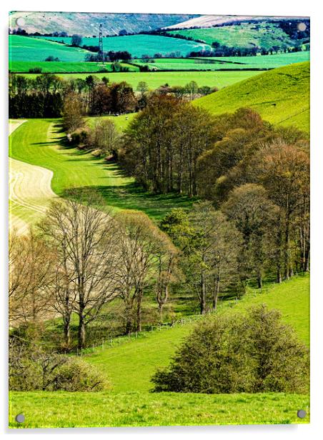 Tree Line Acrylic by Gerry Walden LRPS