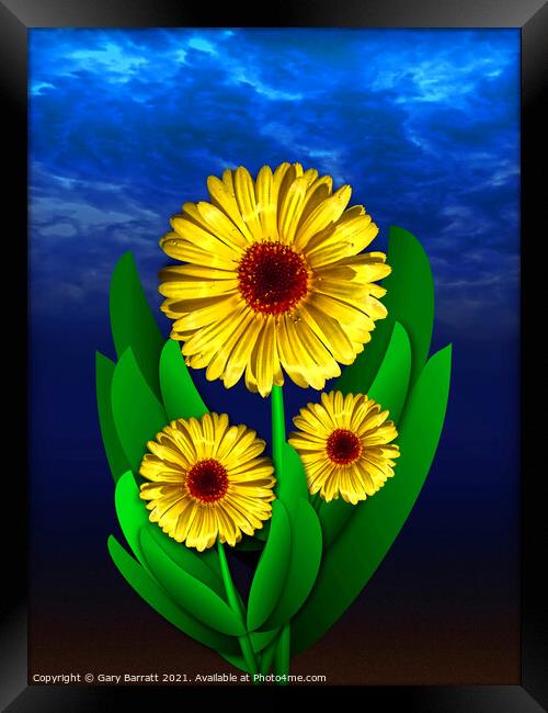 Three Yellow Flowers. Framed Print by Gary Barratt