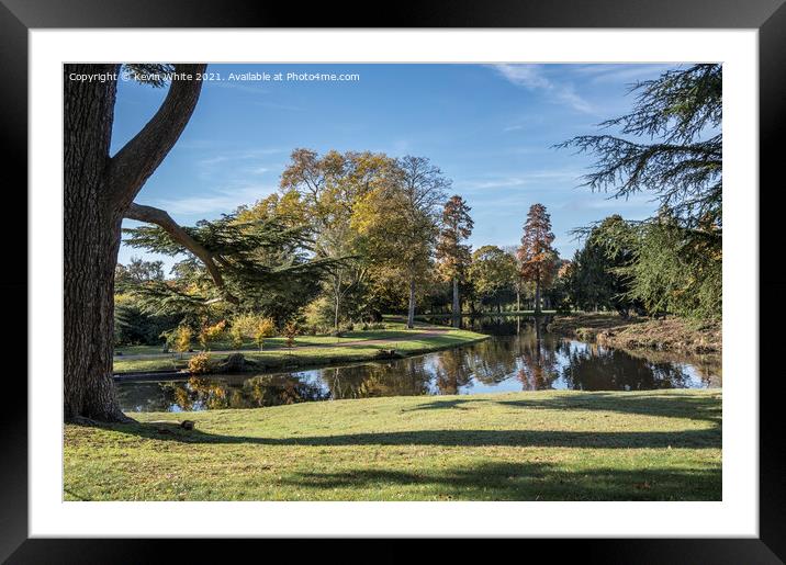 Winter sun at Painshill Framed Mounted Print by Kevin White
