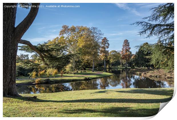 Winter sun at Painshill Print by Kevin White